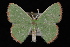  ( - 09-JDWGEO-326)  @13 [ ] CreativeCommons - Attribution (2010) Unspecified University of British Columbia