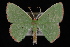  ( - 09-JDWGEO-327)  @13 [ ] CreativeCommons - Attribution (2010) Unspecified University of British Columbia