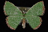  ( - 09-JDWGEO-328)  @13 [ ] CreativeCommons - Attribution (2010) Unspecified University of British Columbia