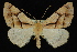  ( - 09-JDWGEO-424)  @14 [ ] CreativeCommons - Attribution (2010) Unspecified University of British Columbia