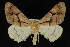  ( - 09-JDWGEO-426)  @14 [ ] CreativeCommons - Attribution (2010) Unspecified University of British Columbia