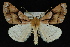  ( - 09-JDWGEO-427)  @14 [ ] CreativeCommons - Attribution (2010) Unspecified University of British Columbia