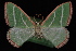  ( - 09-JDWGEO-337)  @11 [ ] CreativeCommons - Attribution (2010) Unspecified University of British Columbia