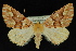  ( - 09-JDWGEO-432)  @15 [ ] CreativeCommons - Attribution (2010) Unspecified University of British Columbia