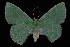  ( - 09-JDWGEO-346)  @14 [ ] CreativeCommons - Attribution (2010) Unspecified University of British Columbia