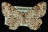  ( - 09-JDWGEO-441)  @14 [ ] CreativeCommons - Attribution (2010) Unspecified University of British Columbia