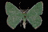  ( - 09-JDWGEO-347)  @13 [ ] CreativeCommons - Attribution (2010) Unspecified University of British Columbia