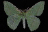  ( - 09-JDWGEO-354)  @14 [ ] CreativeCommons - Attribution (2010) Unspecified University of British Columbia