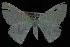  ( - 09-JDWGEO-355)  @13 [ ] CreativeCommons - Attribution (2010) Unspecified University of British Columbia