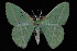  ( - 09-JDWGEO-356)  @13 [ ] CreativeCommons - Attribution (2010) Unspecified University of British Columbia