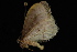  ( - 09-JDWGEO-455)  @12 [ ] CreativeCommons - Attribution (2010) Unspecified University of British Columbia