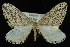  ( - 09-JDWGEO-467)  @13 [ ] CreativeCommons - Attribution (2010) Unspecified University of British Columbia