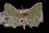  ( - 09-JDWGEO-383)  @13 [ ] CreativeCommons - Attribution (2010) Unspecified University of British Columbia