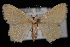  ( - 09-JDWGEO-384)  @13 [ ] CreativeCommons - Attribution (2010) Unspecified University of British Columbia