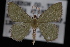  ( - 09-JDWGEO-385)  @11 [ ] CreativeCommons - Attribution (2010) Unspecified University of British Columbia