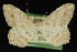  ( - 09-JDWGEO-480)  @11 [ ] CreativeCommons - Attribution (2010) Unspecified University of British Columbia