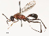  ( - CBG-B07460-F06)  @11 [ ] CreativeCommons - Attribution Share - Alike (2025) CBG Photography Group Centre for Biodiversity Genomics