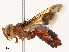 ( - CBG-B07588-H08)  @11 [ ] CreativeCommons - Attribution Share - Alike (2025) CBG Photography Group Centre for Biodiversity Genomics