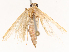  ( - CBG-B07597-H08)  @11 [ ] CreativeCommons - Attribution Share - Alike (2025) CBG Photography Group Centre for Biodiversity Genomics