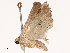  ( - CBG-B07597-H10)  @11 [ ] CreativeCommons - Attribution Share - Alike (2025) CBG Photography Group Centre for Biodiversity Genomics