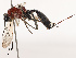  ( - CBG-B07602-B09)  @11 [ ] CreativeCommons - Attribution Share - Alike (2025) CBG Photography Group Centre for Biodiversity Genomics