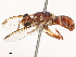  ( - CBG-B07602-G10)  @11 [ ] CreativeCommons - Attribution Share - Alike (2025) CBG Photography Group Centre for Biodiversity Genomics