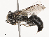  ( - CBG-B07606-B01)  @11 [ ] CreativeCommons - Attribution Share - Alike (2025) CBG Photography Group Centre for Biodiversity Genomics