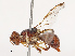  ( - CBG-B19179-A07)  @11 [ ] CreativeCommons - Attribution Share - Alike (2025) CBG Photography Group Centre for Biodiversity Genomics