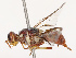  ( - CBG-B19179-A08)  @11 [ ] CreativeCommons - Attribution Share - Alike (2025) CBG Photography Group Centre for Biodiversity Genomics