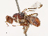  ( - CBG-B19179-A09)  @11 [ ] CreativeCommons - Attribution Share - Alike (2025) CBG Photography Group Centre for Biodiversity Genomics