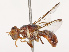  ( - CBG-B19179-A10)  @11 [ ] CreativeCommons - Attribution Share - Alike (2025) CBG Photography Group Centre for Biodiversity Genomics