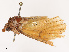  ( - CBG-B19179-G01)  @11 [ ] CreativeCommons - Attribution Share - Alike (2025) CBG Photography Group Centre for Biodiversity Genomics