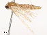  ( - CBG-B19180-B11)  @11 [ ] CreativeCommons - Attribution Share - Alike (2025) CBG Photography Group Centre for Biodiversity Genomics