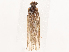  ( - CBG-B19180-H02)  @11 [ ] CreativeCommons - Attribution Share - Alike (2025) CBG Photography Group Centre for Biodiversity Genomics