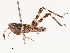  ( - CBG-B19181-D05)  @11 [ ] CreativeCommons - Attribution Share - Alike (2025) CBG Photography Group Centre for Biodiversity Genomics