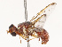  ( - CBG-B19181-G05)  @11 [ ] CreativeCommons - Attribution Share - Alike (2025) CBG Photography Group Centre for Biodiversity Genomics