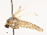  ( - CBG-B19170-D05)  @11 [ ] CreativeCommons - Attribution Share - Alike (2025) CBG Photography Group Centre for Biodiversity Genomics
