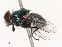  ( - CBG-B07594-H02)  @11 [ ] CreativeCommons - Attribution Share - Alike (2025) CBG Photography Group Centre for Biodiversity Genomics