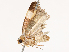  ( - CBG-B07468-H05)  @11 [ ] CreativeCommons - Attribution Share - Alike (2025) CBG Photography Group Centre for Biodiversity Genomics