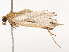  ( - CBG-B07471-E11)  @11 [ ] CreativeCommons - Attribution Share - Alike (2025) CBG Photography Group Centre for Biodiversity Genomics