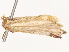  ( - CBG-B07471-G11)  @11 [ ] CreativeCommons - Attribution Share - Alike (2025) CBG Photography Group Centre for Biodiversity Genomics