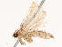  ( - CBG-B07471-H09)  @11 [ ] CreativeCommons - Attribution Share - Alike (2025) CBG Photography Group Centre for Biodiversity Genomics