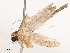  ( - CBG-B07576-B05)  @11 [ ] CreativeCommons - Attribution Share - Alike (2025) CBG Photography Group Centre for Biodiversity Genomics