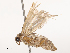  ( - CBG-B07576-C06)  @11 [ ] CreativeCommons - Attribution Share - Alike (2025) CBG Photography Group Centre for Biodiversity Genomics