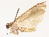  ( - CBG-B07576-H10)  @11 [ ] CreativeCommons - Attribution Share - Alike (2025) CBG Photography Group Centre for Biodiversity Genomics