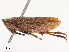  ( - CBG-B07599-E07)  @11 [ ] CreativeCommons - Attribution Share - Alike (2025) CBG Photography Group Centre for Biodiversity Genomics