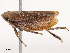  ( - CBG-B19185-C10)  @11 [ ] CreativeCommons - Attribution Share - Alike (2025) CBG Photography Group Centre for Biodiversity Genomics