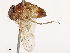  ( - CBG-B21611-A08)  @11 [ ] CreativeCommons - Attribution Share - Alike (2025) CBG Photography Group Centre for Biodiversity Genomics