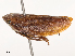  ( - CBG-B07593-F10)  @11 [ ] CreativeCommons - Attribution Share - Alike (2025) CBG Photography Group Centre for Biodiversity Genomics