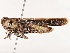 ( - CBG-B07604-G12)  @11 [ ] CreativeCommons - Attribution Share - Alike (2025) CBG Photography Group Centre for Biodiversity Genomics